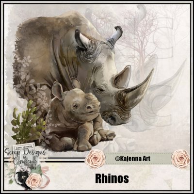 (image for) Rhinos