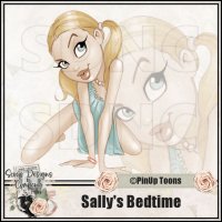 (image for) Sallys Bedtime