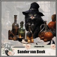 (image for) Sander Van Beek