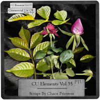 (image for) CU Elements Vol 35
