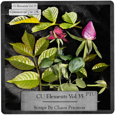 (image for) CU Elements Vol 35