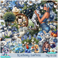 (image for) Blueberry Surprise Kit