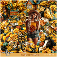 (image for) Country Charm Kit