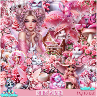(image for) Fairy Wings Kit