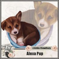 (image for) Alexa Pup