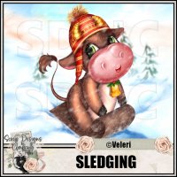 (image for) Sledging