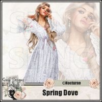 (image for) Spring Dove