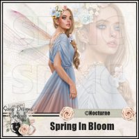 (image for) Spring In Bloom