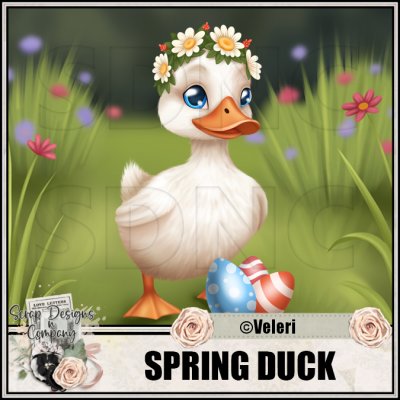 (image for) Spring duck