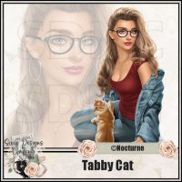 (image for) Tabby Cat