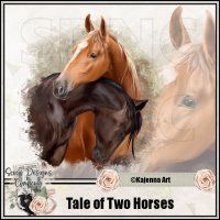 (image for) Tale Of Two Horses