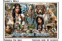 (image for) American Indian