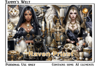 (image for) Raven Priest