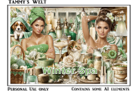 (image for) Winter Spa