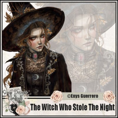 (image for) The Witch Who Stole The Night