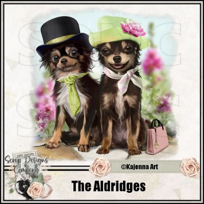 (image for) The Aldridges