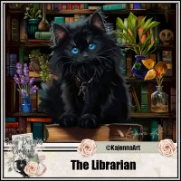(image for) The Librarian