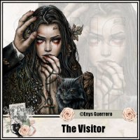 (image for) The Visitor