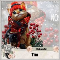 (image for) Tim