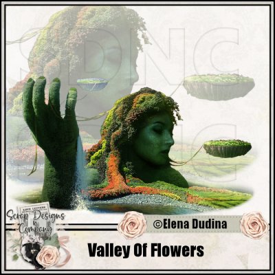 (image for) Valley Of Flowers