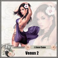 (image for) Venus 2