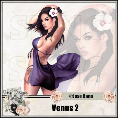 (image for) Venus 2