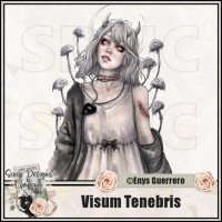 (image for) Visum Tenebris