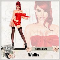 (image for) Wallis