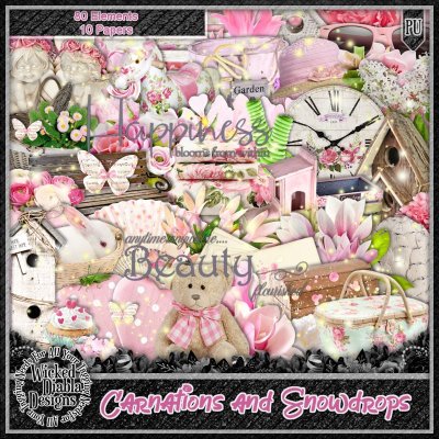 (image for) Carnations And Snowdrops