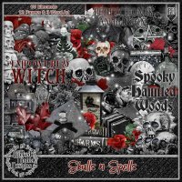 (image for) Skulls N Spells