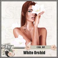 (image for) White Orchid