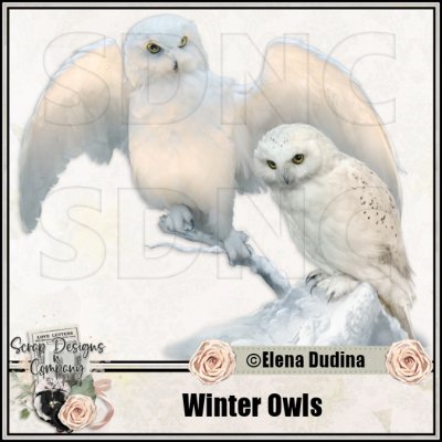 (image for) Winter Owls