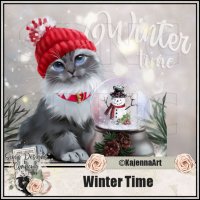 (image for) Winter Time