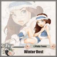 (image for) Winter Vest