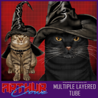 (image for) Wizard Feline