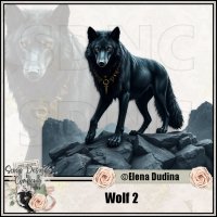 Wolf 2 (image for) Wolf 2
