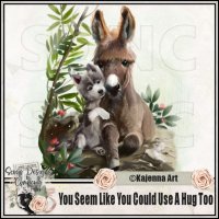 (image for) You Seem Like You Could Use A Hug Too