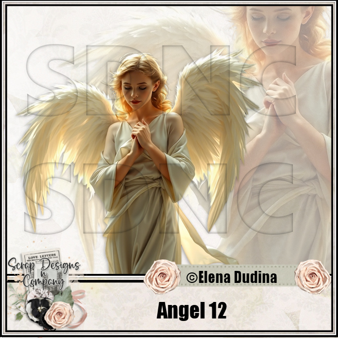 (image for) Angel 12