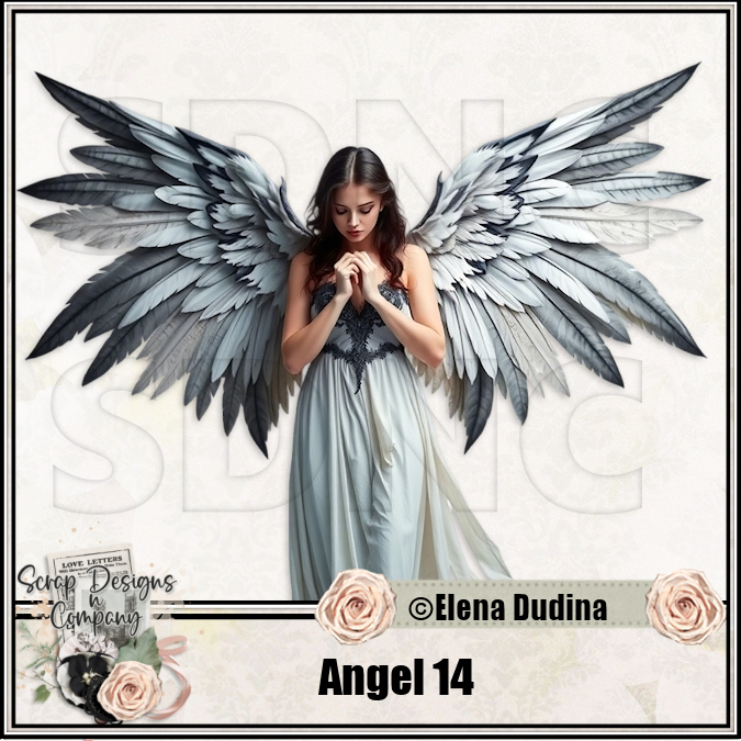 (image for) Angel 14