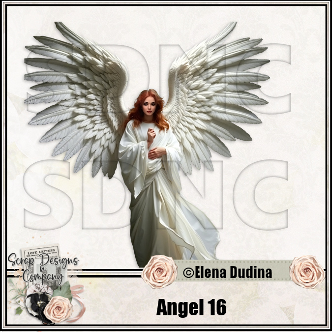 (image for) Angel 16