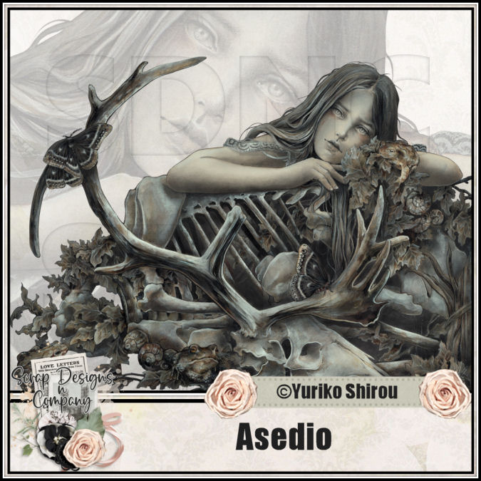 (image for) Asedio