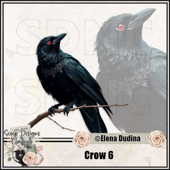 (image for) Crow 6