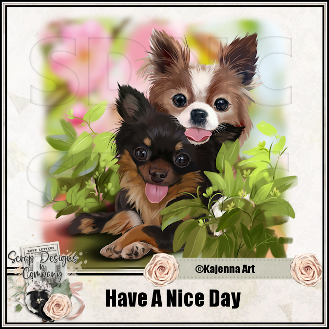 (image for) Have A Nice Day