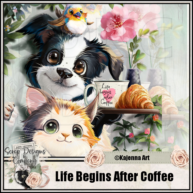 (image for) Life Begins After Coffee