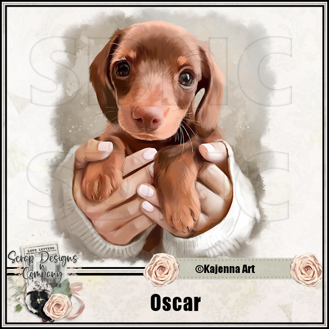 (image for) Oscar