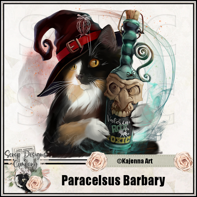 (image for) Paracelsus Barbary