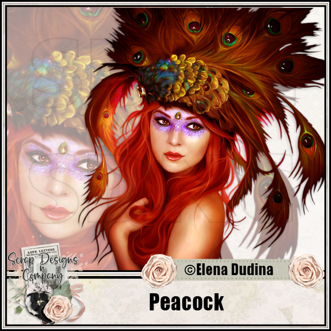 (image for) Peacock