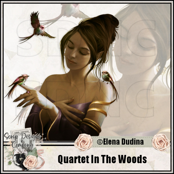 (image for) Quartet In The Woods