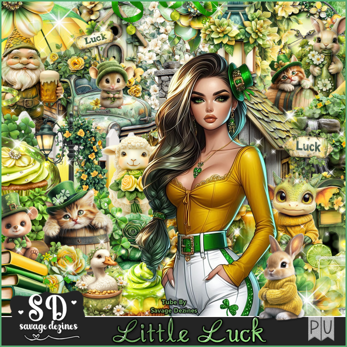 (image for) Little Luck Kit