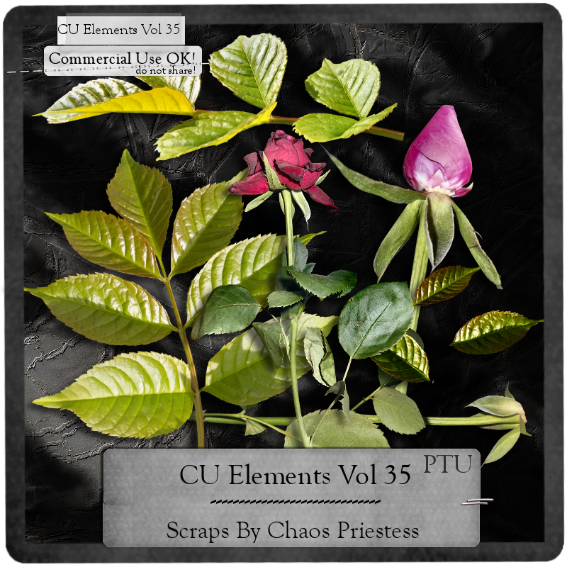 (image for) CU Elements Vol 35